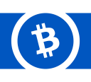Icon for package electron-cash.portable
