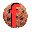 Icon for package flashcookiesview