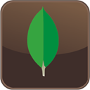 Icon for package gb.MongoDB