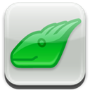iguana icon